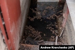 პროდუქტი, რომლის იმედადაც იყო ოლჰა ერთ დროს, ახლა მის დატბორილ სარდაფში დამყაყებულ წყალში ტივტივებს.