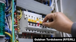 Иллюстрациялык сүрөт.