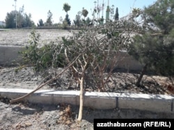 Ашхабад, сентябрь, 2018.