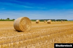 ЄС в 20-му пакеті санкцій може повністю відмовитись від імпорту російських добрив для аграрного сектору. Але європейські фермери зможуть отримувати додаткові добрива з інших країн