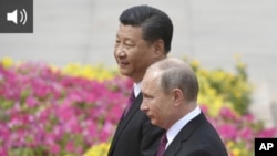 სი ძინპინი და პუტინი