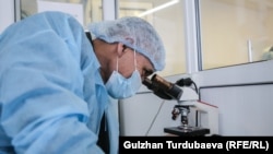 Иллюстрациялык сүрөт.