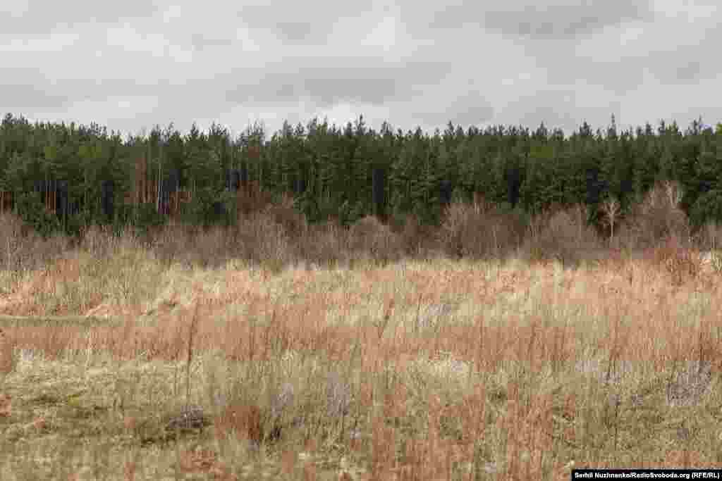 Знищена російська техніка на околиці села Тетерівського, Київщина, березень 2022 року / Фото від березня 2024 року: російську техніку вивезли, а спалена війною земля повільно заростає&nbsp;