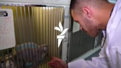 Studenții din Israel ajung cu greu în R. Moldova