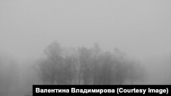 Един от кадрите за изложбата "Магнолии".