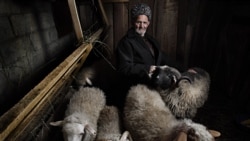 Евлоев Мухтар