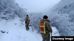 Дайынсыз болгон адамды издөө иштери. ӨКМ тараткан сүрөт. 20-январь, 2024