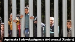 Мігранты ў Беларусі на мяжы з Польшчай