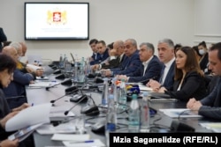 გარემოს ეროვნული სააგენტოს სპეციალისტების მიერ მომზადებული დასკვნა სოფლის მეურნეობის სამინისტროში გამართულ შეხვედრაზე განიხილეს