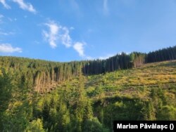 Pădurile rase se văd de la distanță, pe dealurile României.