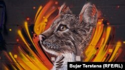 Jedan od grafita nastalih tokom ovogodišnjeg festivala Meeting of Styles Kosovo u Prištini.