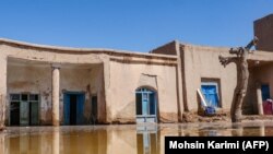 په هرات ولایت کې تر باران وروسته په یو کور کې اوبه جمع شوې دي - د مارچ ۱۳مې انځور.