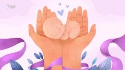 Таваллуд дар ивази пул ва барои дигарон зиёд шудааст