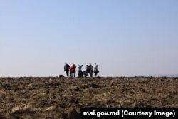 Angajați ai ministerului de Interne în câmp pentru lucrările de înverzire.