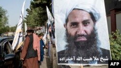 په کابل کې د طالبانو د مشر ملا هبت الله لګېدلی تصویر