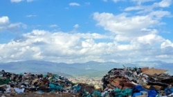 Divlja ljepota među divljim deponijama u Crnoj Gori