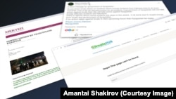 Скриншоты главных страниц сайтов, которые, как утверждает хакерская группировка, были взломаны.