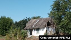 Una din zecile de case părăsite din Plauru. Localitatea a fost, în trecutul apropiat, cea mai importantă de pe brațul Chilia al Dunării. 