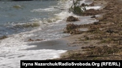 კახოვკის ჰესის ნგრევის შემდეგ შავი ზღვიდან ოდესის სანაპიროზე გამორიყული ნარჩენები