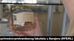 Vizuelna inspekcija sjemenskog materijala