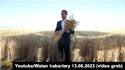 Serdar Berdimuhamedow, öňki prezidentiň oba hojalyk syýasatyny dowam etdirip, metbugat suraty üçin orak ordy. Arhiw suraty