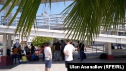 Мексикага барган борбор азиялыктар. 