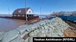 Түндүк Казакстан областынын Кызылжар району. 17-апрель, 2024-жыл.