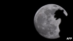 Гаргульля на саборы Парыскай Божай Маці. Архіўнае фота