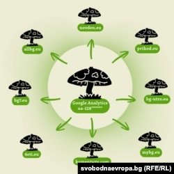 Домейни, свързани в обща мрежа от сайтове гъби.