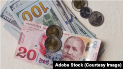 ქართული ლარი და აშშ დოლარი - საილუსტრაციო ფოტო