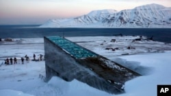 Ulaz u svjetski trezor sjemena u Spitsbergenu, Norveška, 26. februara 2008.