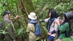 د انډونيزيا کليوالې ښځې د ځنګله ساتنه کوي