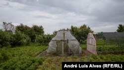 Фермерите в Приморске продължават да работят въпреки обстрела