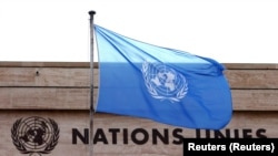 بیرق سازمان ملل متحد 
