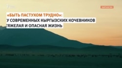 «Быть пастухом трудно»: тяжелые будни современных кыргызских чабанов