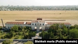 “Аккула” ат майданы.