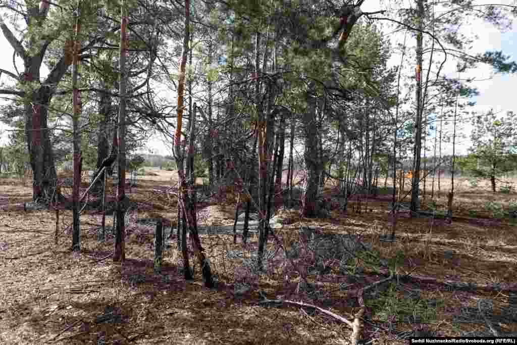 Український військовий 10-ї окремої гірсько-штурмової бригади &laquo;Едельвейс&raquo; тримає трофейний автомат Калашникова АК-12, захоплений під час бою з російськими військами, Київщина, березень 2022 року / Те ж саме місце у березні 2024 року