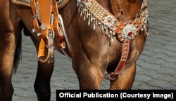 A detail of the April 2023 image