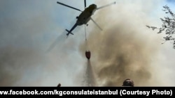 Иллюстративное фото. 