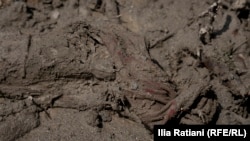 შოვი, სტიქიის ეპიცენტრი, 5 აგვისტო