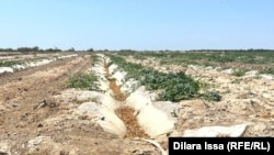 Байтогайдагы айылдын азыркы абалы.