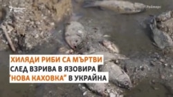 "Екоцид". Хиляди риби са мъртви заради взрива на украинския язовир
