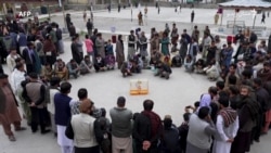 په کابل کې اوس هم د سایرې په نوم د مرغانو د سندرو سیالۍ کېږي