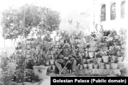 ნასერ ალ-დინ შაჰი