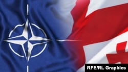 როგორ უნდა მოემზადოს საქართველო იმისათვის, რომ ალიანსში გაწევრიანების ფანჯარა არ გამოტოვოს.