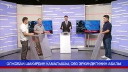 Сөз эркиндигинин абалы: Олжобай Шакирге жеткен берене