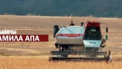 Жумгал: комбайнчы Жамила апа, тоодогу суу тегирмен