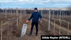 Heorhiy Molchanov stands by part of a bomb that juts from the earth at his Slivino Village winery near Mykolayiv, Ukraine. 