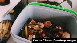Găleata de compost din casa Corinei.