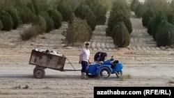 Ýörite arabada zibil toplaýan erkek adam. Illýustrasiýa suraty. Arhiwden alyndy.